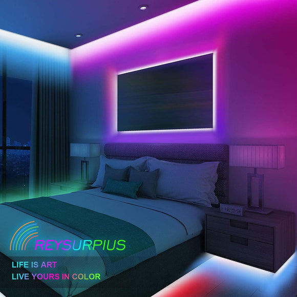 Nightlight Neon LED Strip Tape with USB Mini Music Voice and Hand Held Controller